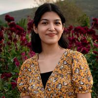 Dania